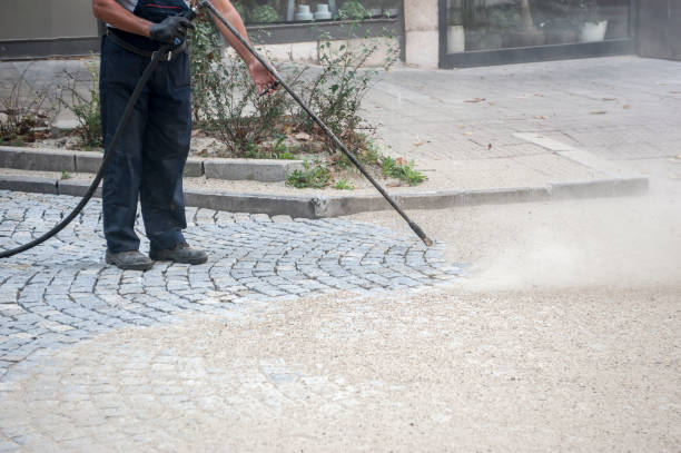Best Sidewalk and Walkway Cleaning  in Delaware, OH
